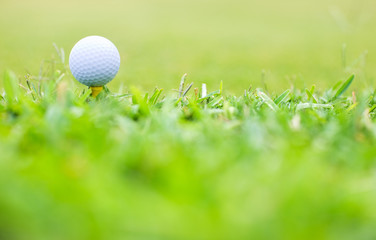 Golf Macro