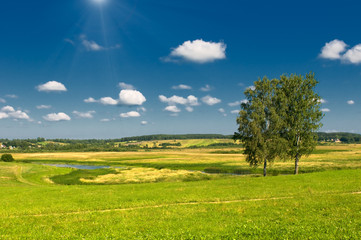 rural landscape with two trees