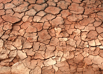 cracked mud ground