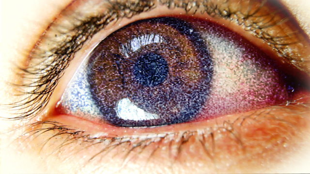 marco close-up shot of eye