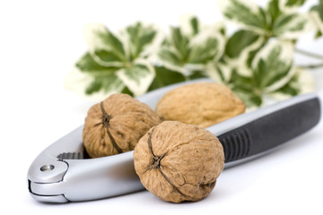 walnuts and nutcracker