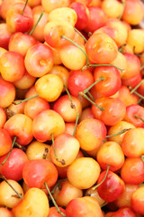 Cherry.