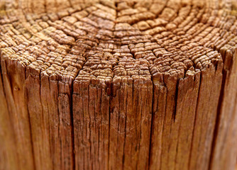 Holzpfosten