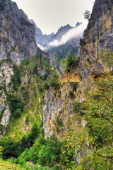 Desfiladero del Cares