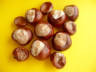 Chestnuts