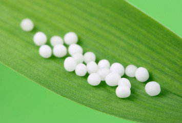 Fototapeta Homeopathic medicine  on green leaf obraz