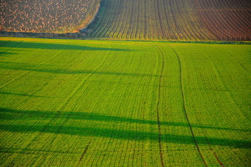 Cultures et couleurs.