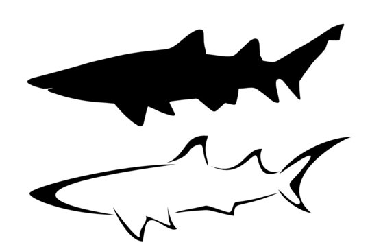 Set of two tribal shark tattoos
