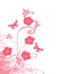 grunge rose papillon et liseron