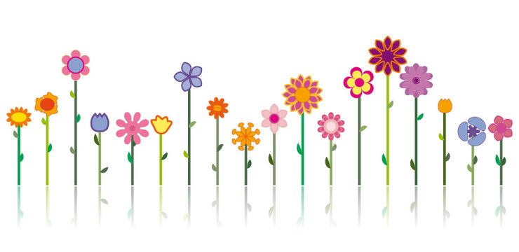 Different flowers - Vector image