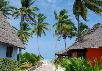 island Zanzibar village Paje