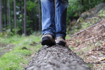 hiker walk on tree trunk