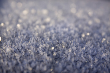 Blue Frost