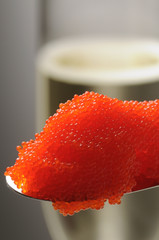 Uova di lompo e spumante © Comugnero Silvana