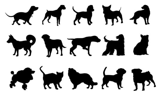Dogs and cats silhouettes