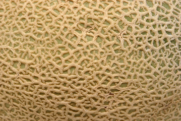 Cantaloupe Surface