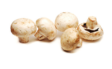 mushrooms isolated