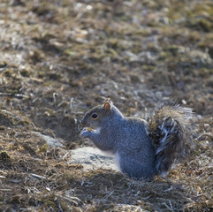 praying over a meal