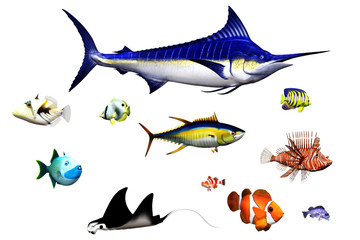 Fische