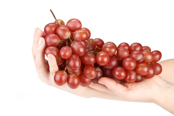 Fresh grapes