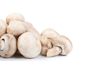 Fresh mushrooms