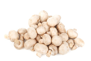 Fresh mushrooms