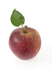 Blauacher-Apfel mit Blatt