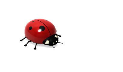 coccinelle