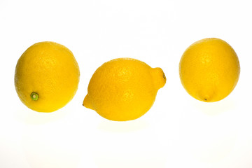 ao_090202_5108-bearbeitet.jpg zitrone