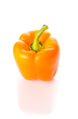 Orange paprica