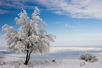 between the clouds