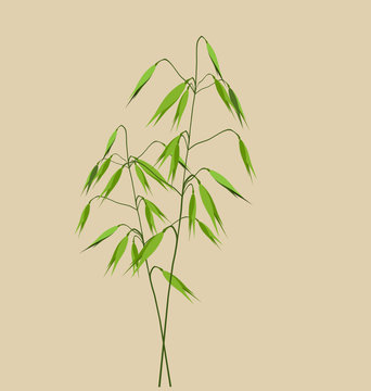 green plant on beige background clip art preview
