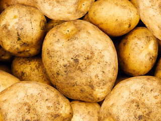 Potato fresh