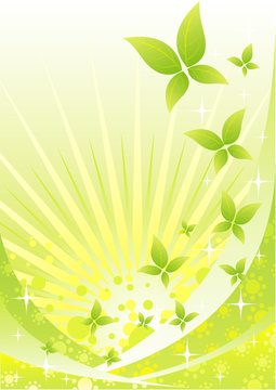 eco butterfly