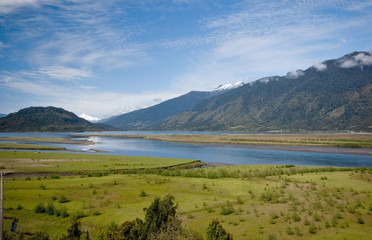 Fototapeta na wymiar Marshes next to the lake in the Chilean lake district