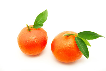 tangerine