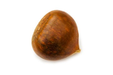 One chestnut isolated on the white background