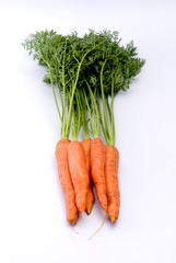 marchew, carrot