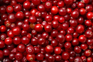red cranberries background