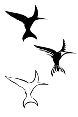 A set of three tribal hummingbird tattoos