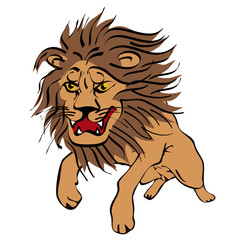 lion illustration