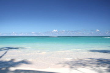 Fototapeta na wymiar Tropical Paradise - White Sand Beach and Ocean Background