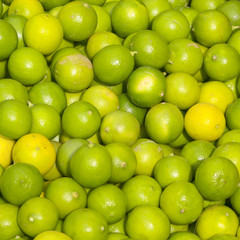 Limetten