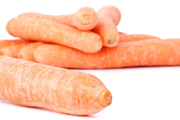 Fresh appetizing carrot