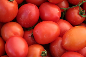 tomates