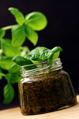 pesto