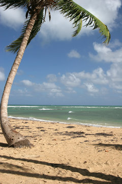 Punta Popy is famous for the possibility of making kitesurf.