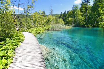 Wasser Paradies
