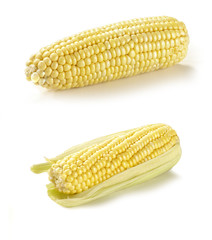 Corn on the cob