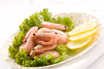 shrimp
